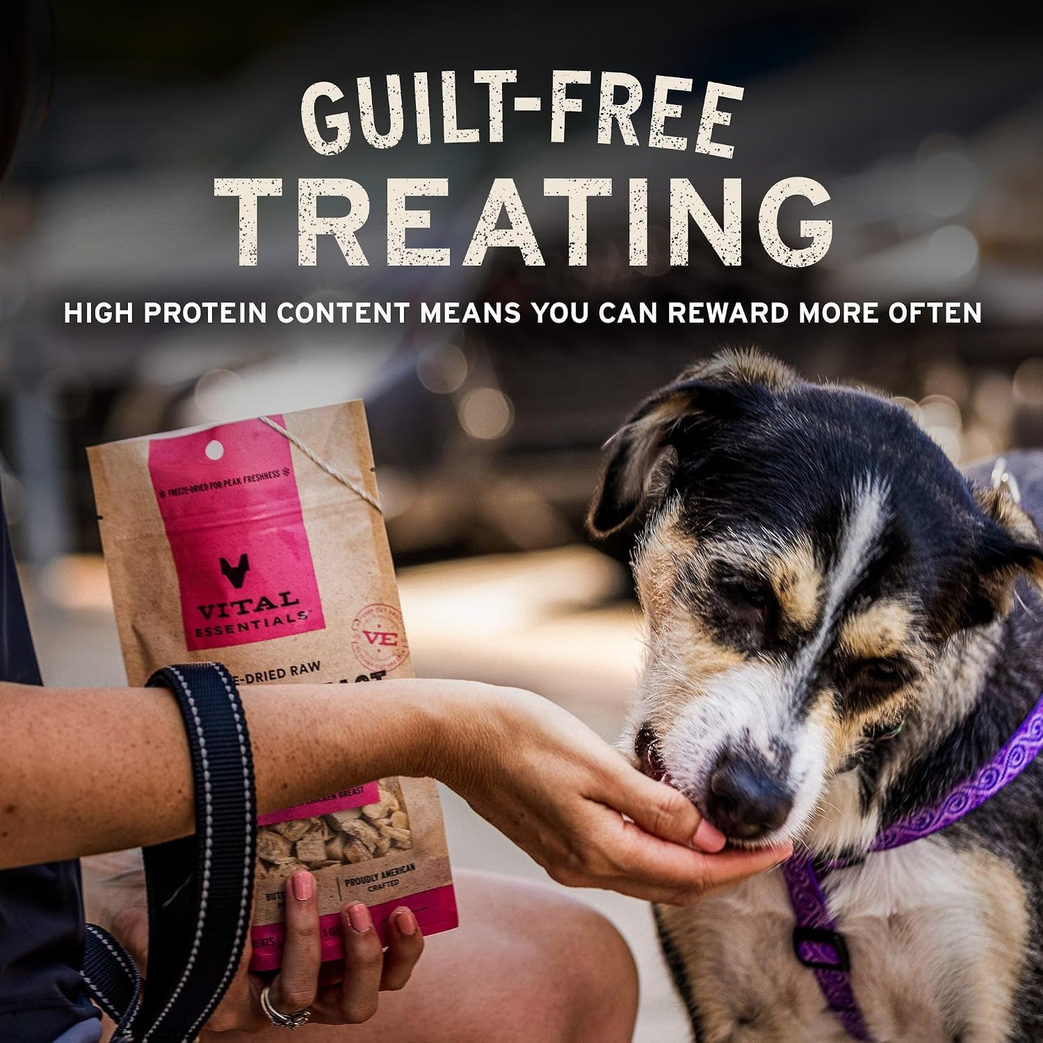 image:imageVital Essentials Freeze Dried Dog Treats Beef Bites 62 oz Bag Single Protein Made With Beef amp Liver Premium Quality Protein GrainFree Training TreatsBeef