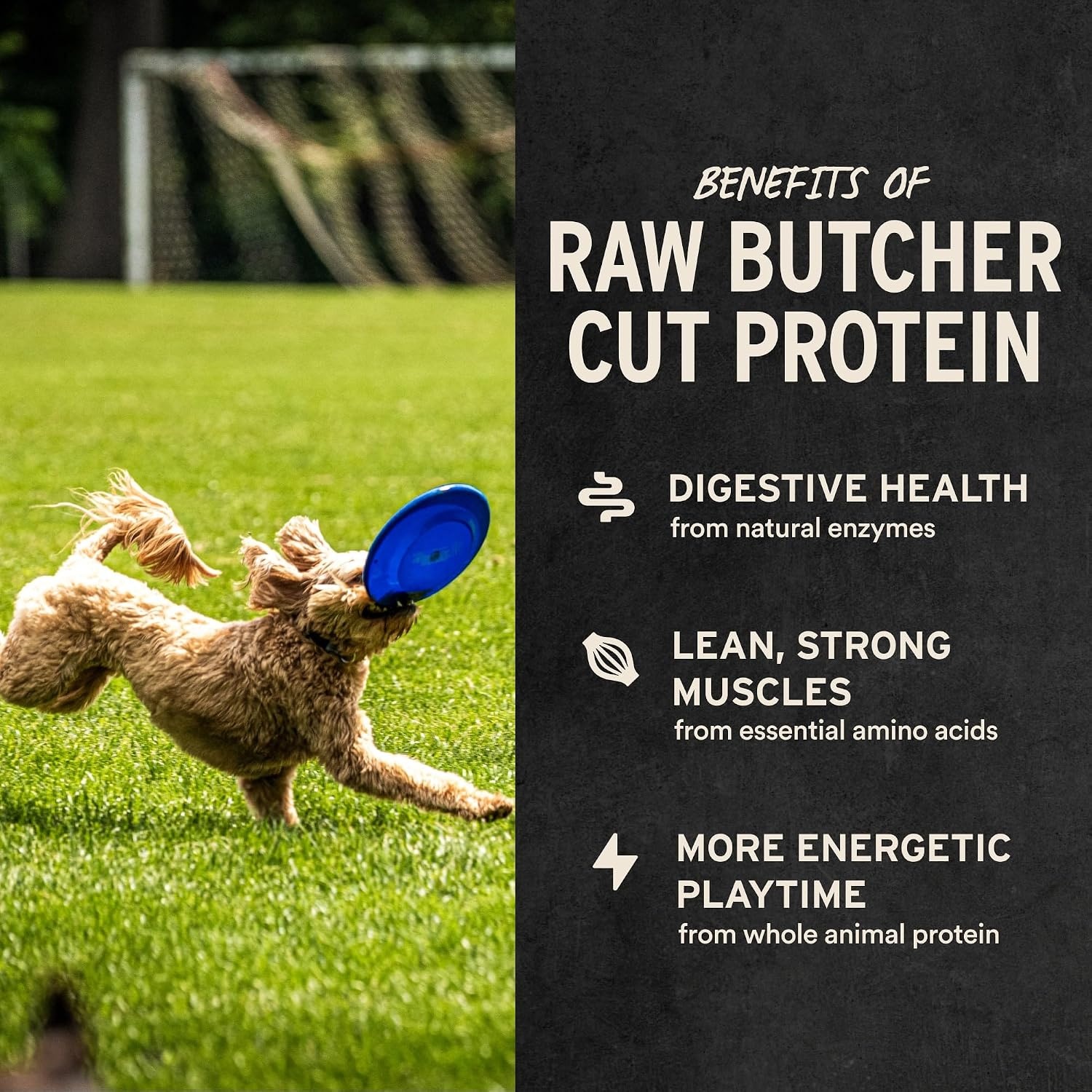image:imageVital Essentials Freeze Dried Dog Treats Beef Liver 21 oz Bag Single Ingredient Made With 100 Beef Liver GrainFree Training Treats USA Made with US amp Globally Sourced IngredientsBeef