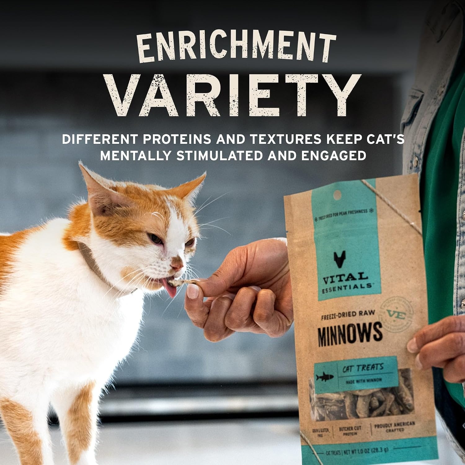 image:imageVital Essentials Freeze Dried Cat Treats Rabbit Bites 09 oz Bag Crunchy Single Ingredient Premium Quality Protein Grain Free USA Made with US amp Globally Sourced IngredientsSalmon