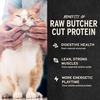Vital Essentials Freeze Dried Cat Treats, Rabbit Bites, 0.9 oz Bag | Crunchy, Single Ingredient, Premium Quality Protein, Grain Free, USA Made with U.S. & Globally Sourced Ingredients(Salmon)