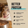 Vital Essentials Freeze Dried Dog Food Topper, Chicken Mini Nibs, 18 oz Bag(Chicken)