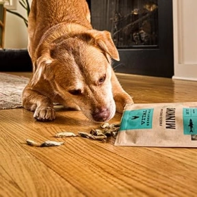 VITALESSENTIALS healthy training treats for dogs and RawPetFood